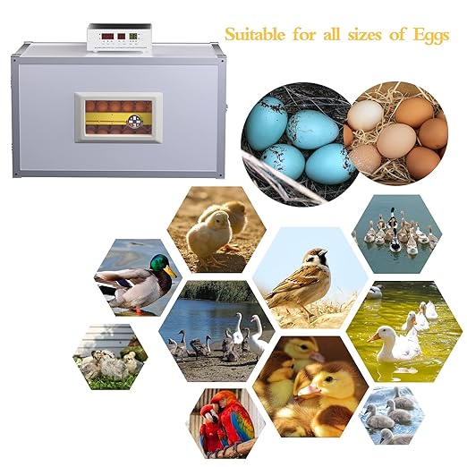 Egg Incubator ，Farm Egg Incubator with Automatic Egg Turning and Humidity Control，Industrial Brooding Machine Chicken Incubator ，Suitable for Chicken Duck Goose Quail Parrot Bird Eggs