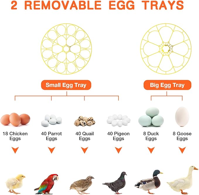 18 Egg Incubator, Incubator for Hatching Eggs, Automatic Egg Turning and Humidity Temperature Control, Egg Candler, Hatch Day, Automatic Water Refill, for Chicken, Ducks, Quail, Goose, Pigeon