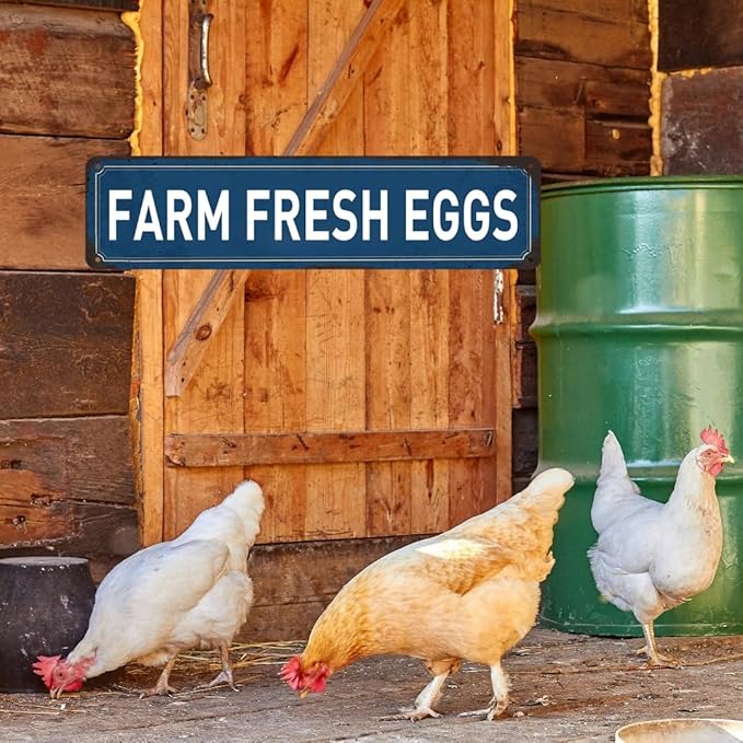 Farm Fresh Eggs Sign Chicken Coop Signs Farmers Market Decor Funny Outdoor Farm Fresh Chicken Wall Decor Accessories Farmers Market Decorations 4x16 Inch