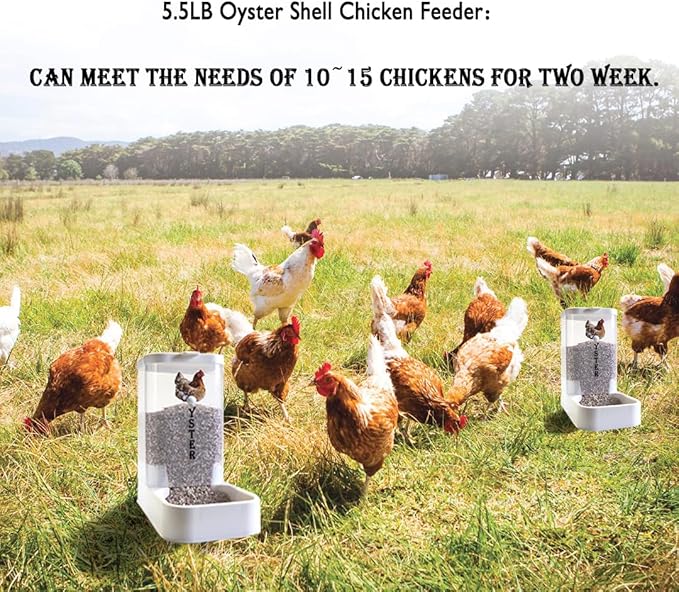 5.5lb Grit Oyster Shell for Chickens Feeder: Chicken Coop Accessories Little Giant Poultry Feeder