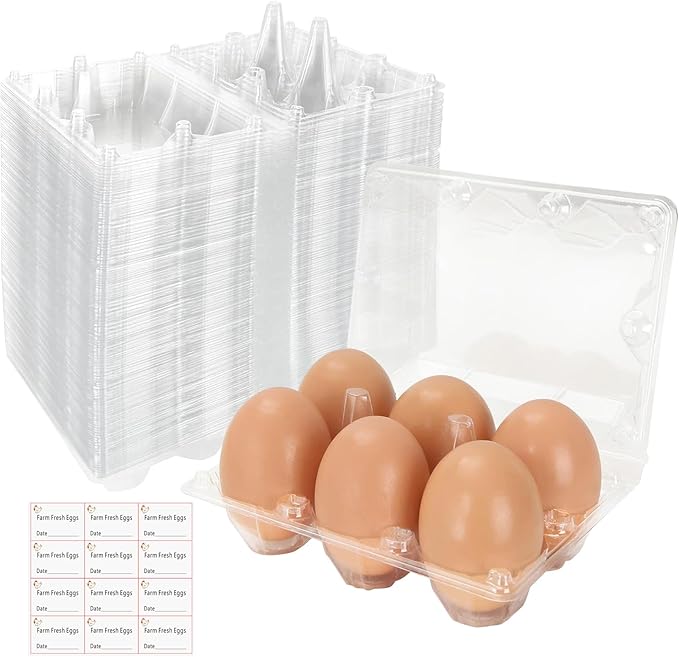 24Pack Plastic Clear Egg Carton for 6 Eggs,Egg Tray Reusable Medium Size Egg Cartons Perfect for Egg Trader Market Farmers Display Farmer Camping Picnic Travel Storage