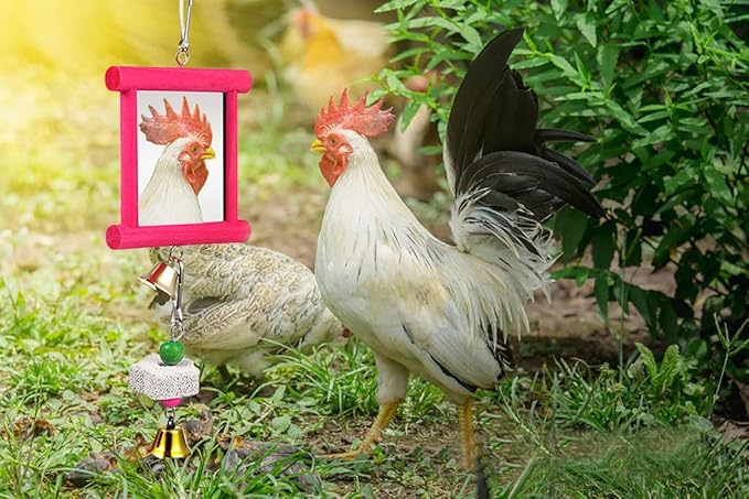 Vehomy 2Pcs Chicken Mirror Toys for Hens Hanging Swing Mirror Toys with Bells and Beak Grinding Molar Stones for Roosters Hens Birds Parrots (Yellow and Red)