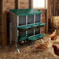 Nesting Boxes for Chickens, Chickens Laying Boxes for Chicken Coop with Legs, 6 Compartments Chicken Nesting Boxes, with Removable Tray, Easy Cleaning, for Hens Outdoor Chicken Coop Farm Yard, Green