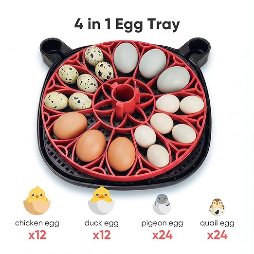 Incubators for Hatching Eggs, 12 Egg Smart Incubator with 1080P Camera & App Control, One-Click Incubation for Chicken Quail Duck, Auto Egg Turner, External Water Refill, Egg Candler