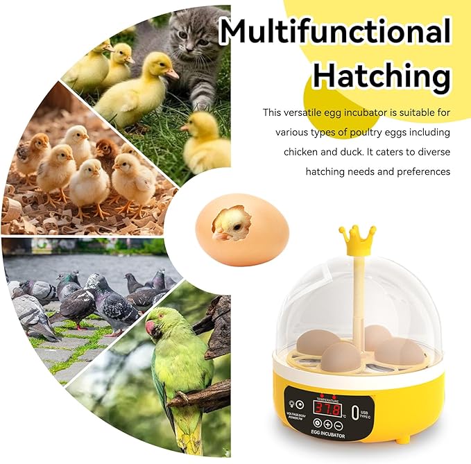 Mini Egg Incubator, 4 Egg Incubator Household Hatching Machine Automatic Temperature Humidity Control for Farm, Classroom, Home Use (Auto Turning)