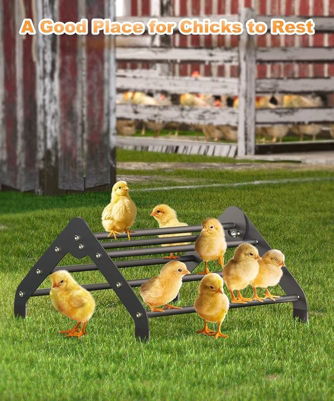 Koutemie Adjustable Chicken Perch for Coop, Heavy-Duty Metal Chick Roosting Bar for Brooder, Baby Chicks Stand Toy Training Perches for Bird Parrot Hens Macaw, Black