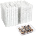 SENENQU 150 Pack 12 Grids Clear Quail Egg Carton Cheap Bulk, Small Plastic Quail Egg Storage Holder with Lid, Reusable Mini Quails Eggs Dispenser Holder Case for Small Pheasant Pigeon Egges