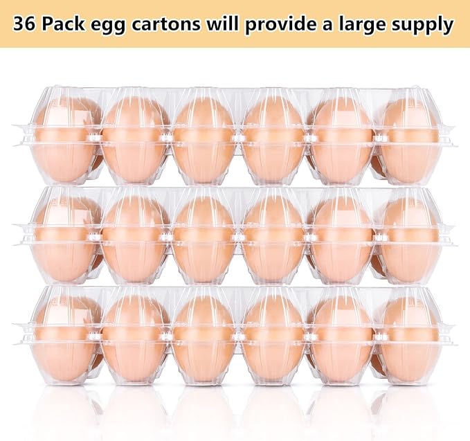 MIVIDE Plastic Egg Cartons Bulk, 36 Packs Empty Clear Plastic Egg Carton Holds Up to 12 Eggs, Reusable Chicken Egg Tray Holders for Family Pasture Chicken Farm, Business Market Display, Storage