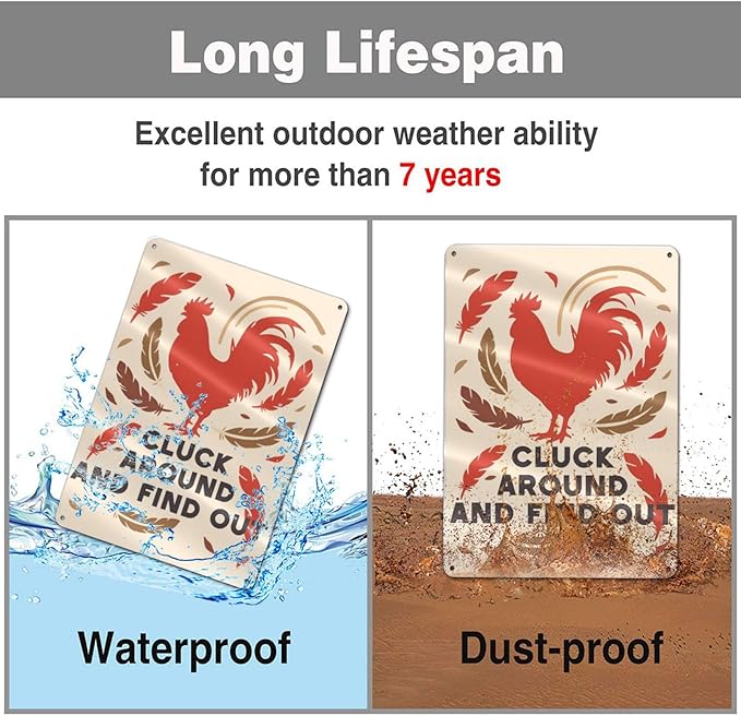 Funny Chicken Sign Cluck Around and Find Out Sign For Farmhouse Decor Chicken Coop Accessories 8x12 in (orange-chicken)