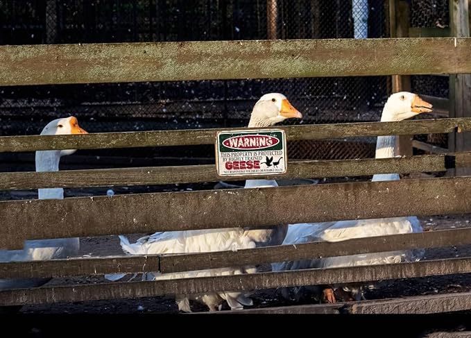 Vintage Geese Metal Sign， Warning this property is protected bY a highly trained Geese Sign Funny Tin Signs 12x8 Inch