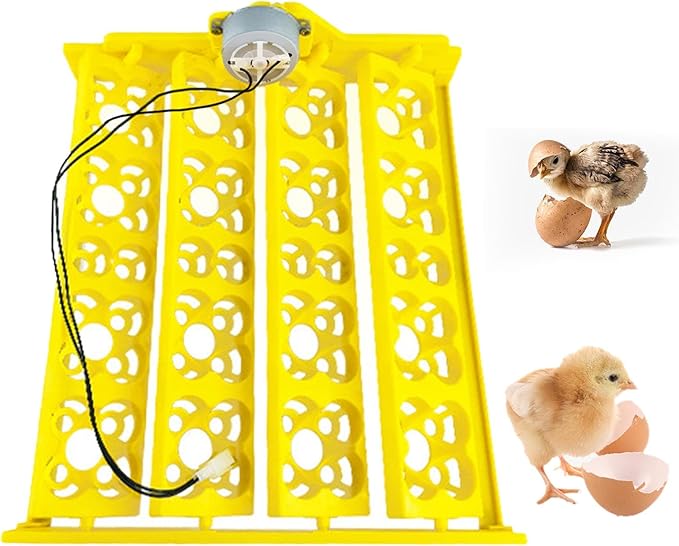 Automatic Egg Incubator Tray Automatic Turning Motor Egg Turner Turning Tray Accessory Egg Hatcher Egg Incubation Tray for Chicken Quail, DC12V