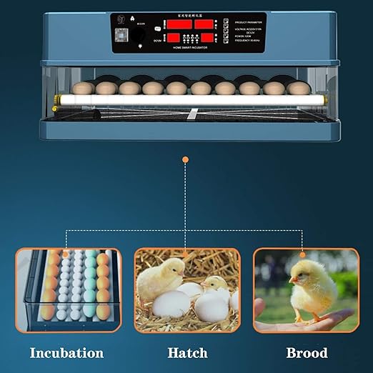 Digital Egg Incubator with Automatic Turning, Temperature & Humidity Control for Chicken Duck Goose Quail(2 Layer)