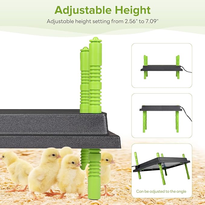 Chick Heating Plate - 12 x 16 Inch Chicken Heater Plate for Chicks with Adjustable Height & Angle - 30W Safer Than Brooder Lamp Warms Up to 40 Chicks