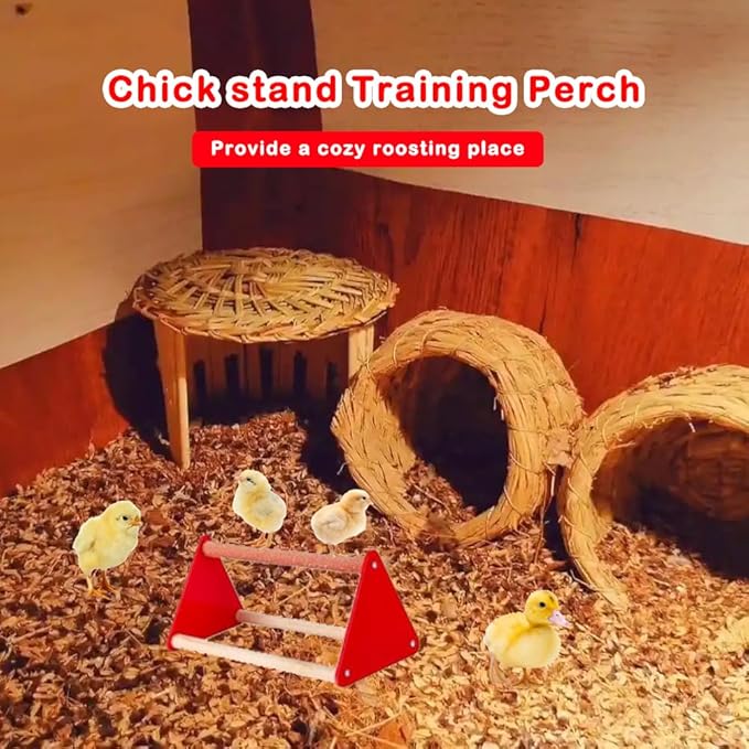 5pcs Chick Feeder and Waterer Kit,Top Fill 1kg Chick Feeder and 1L Chick Waterer,Baby Chicken Supplies with Chicks Perch,for Coop and Brooder for Small Poultry Ducks Quail