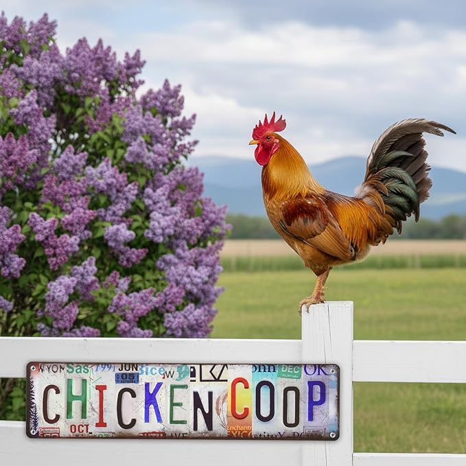 Chicken Coop Signs, Vintage Chicken Signs for Coop, Personalized Metal Chicken Sign for Farmhouse Door Fence Wall Decor, Rustic Chicken Coop Accessories Gifts for Hen Rooster Lovers
