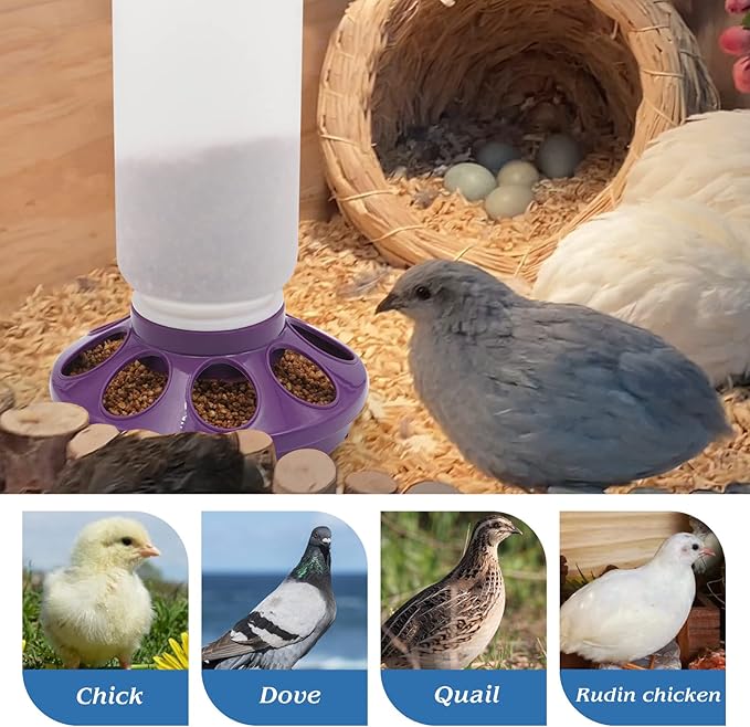 Chick Feeder and Waterer Kit - 1L Feeder and Waterer for Duck Brooder, Quail