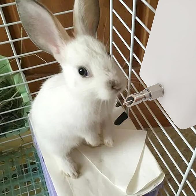 Threaded Stainless Steel Rabbit Water Nipples Automatic Rodent Watering System Kit Animal Breeding Supplies (6PCS)