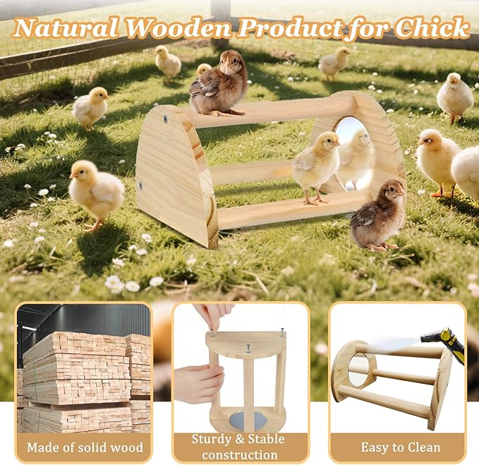 Chicken Perch - Chicken Roosting Perch with Natural Solid Wood, Hand-Polished Freestanding Design for Birds, Chicks & Parrots | Bird Cage Entertainment (Small, Semi-Circular with Mirror)
