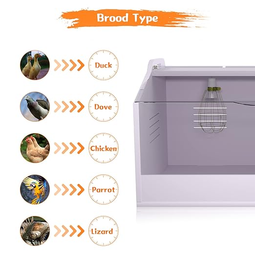 Brooder Box for Chicks ，Chick Brooder Heat up to 25 Chicks with Heat Lamp Set Brooder Box，Suitable for Chicks/Duck/Parrot/Lizard （23" X 16" X 16"）