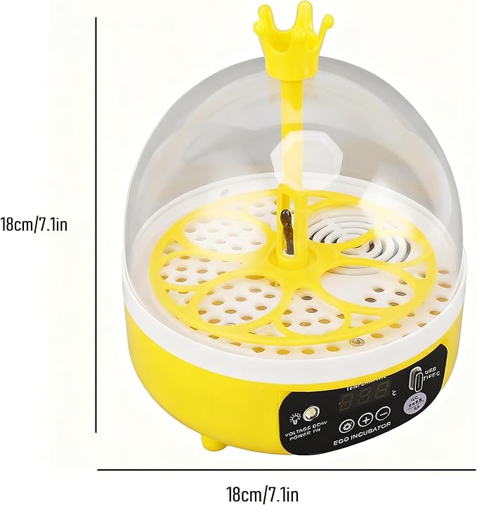 Tissting Mini Compact Egg Incubator Holds 4 Large or 8 Quail Eggs USB Powered with Auto Features - Auto Egg Turner with Temperature Control & Egg Candler for Chicken Duck Quail Eggs