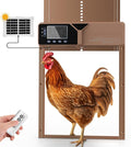 Upgraded Large Automatic Chicken Coop Door - Solar,Battery Powered Chicken Door Opener | Timer,Light Sensor,Remote,Manual Control | Anti-Pinch, Predator Proof All-Weather Resistance Coop Door