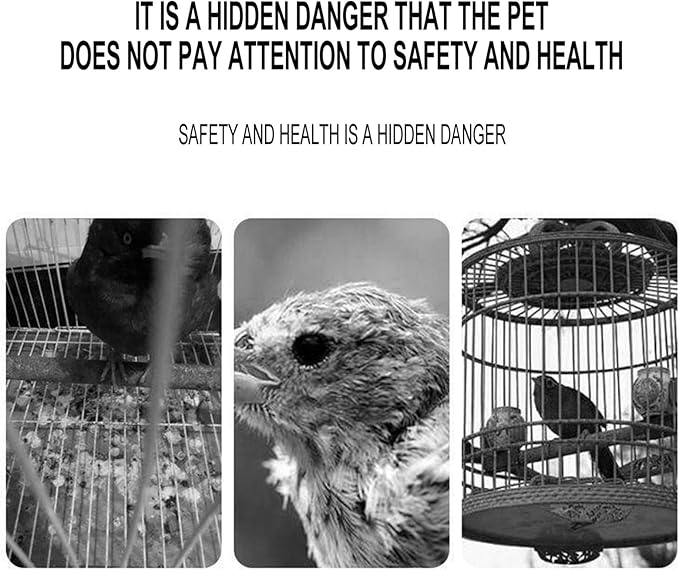 Angoily 6pcs Bird Cage Cleaning Tools Set Pet Parrot Brush and Shovel for Efficient Cage Maintenance Random Bird Poop Scraper Brush