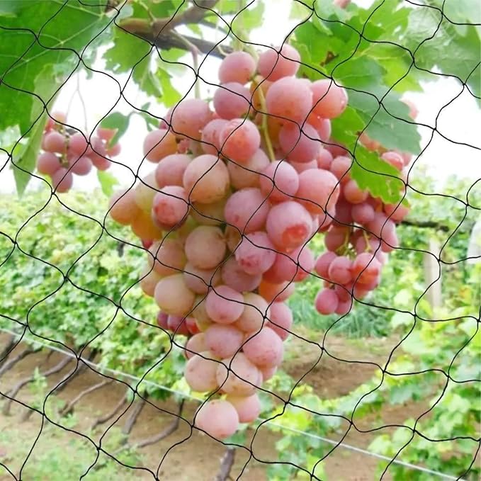 Nylon Mesh Anti Bird Netting [50 X 50] ft - Protect Fruit Trees, Chickens, Gardens & Aviaries