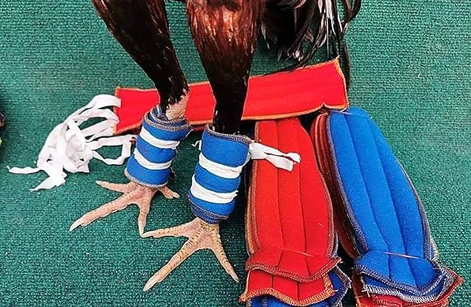 A.D.P. Rooster Booster Protection Fighting Rooster Gamefowl Protective Chicken Supplies Poultry Chickens Mitt Safety, Botas para GALLOS BREEDING, 2 Pairs Blue & Red Fabric Handmade Leg Protect Care