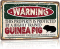 Vintage Guinea Pig Metal Sign， Warning this property is protected bY a highly trained Guinea Pig Sign Funny Tin Signs 12x8 Inch