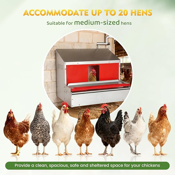 Redants Chicken Nesting Box, Metal Chicken Laying Box with Roll Away Egg Collection, Reversible Wall Mountable Chicken Coop Nesting Boxes for Hens, Ducks, Waterproof, 24"×19.5"×20", Up to 20+ Hens