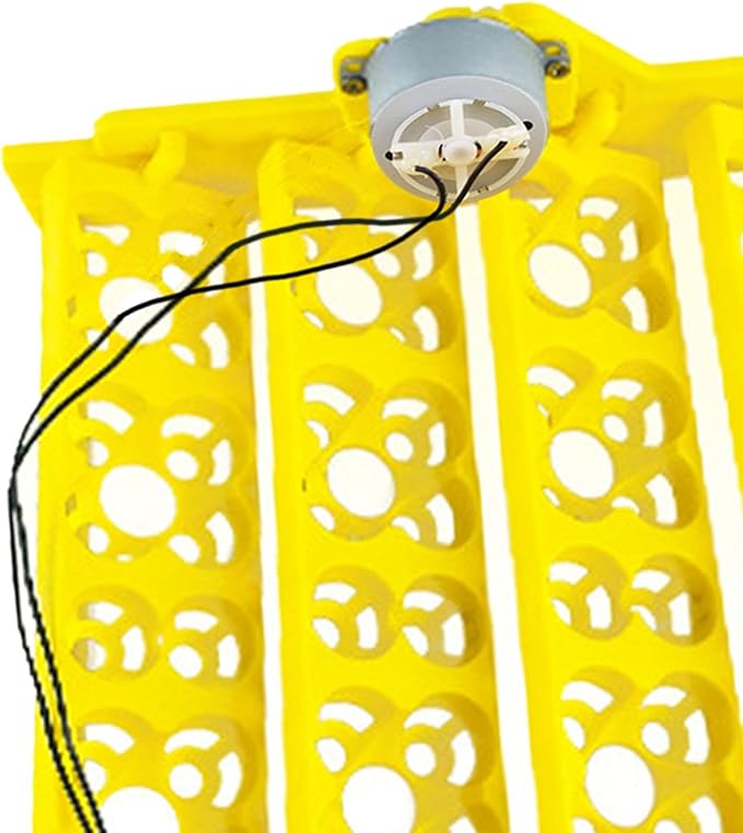 Automatic Egg Incubator Tray Automatic Turning Motor Egg Turner Turning Tray Accessory Egg Hatcher Egg Incubation Tray for Chicken Quail, DC12V