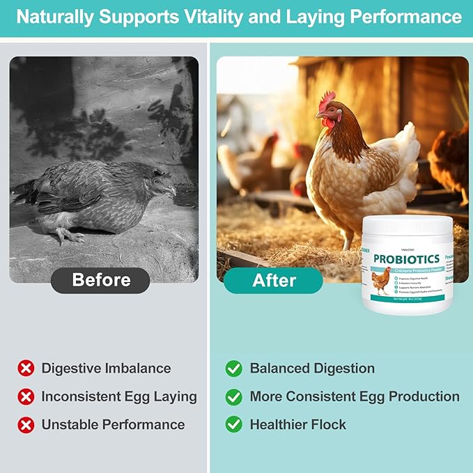 Chicken Probiotic Powder, 300 Billion CFU Multi-Strain Poultry Probiotics for Poultry, Supports Digestive Health Immune Support & Eggshell Quality, Easy Mix Feed Supplement Pullets Layers 8 oz