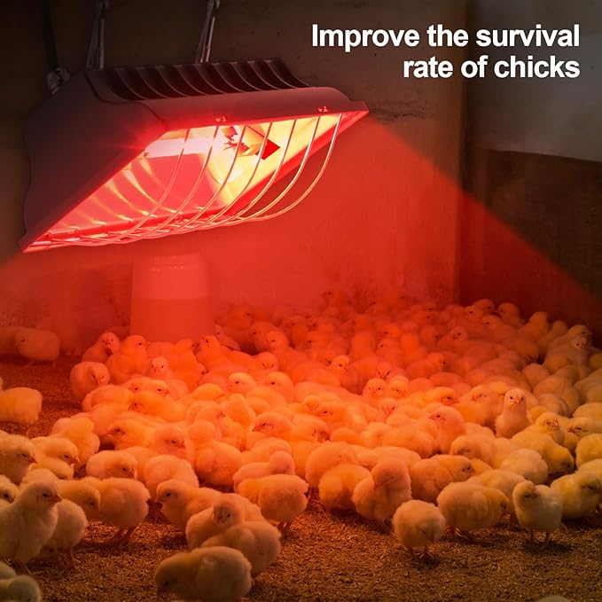 Honoson 4 Pcs Chicken Coop Heater Brooder Heater with Heat Lamp Radiant Chicken Coop Accessories Heat Warmer for Chick Pet Dog Cat(Square)
