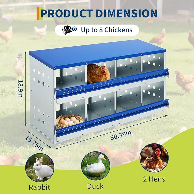 Heavy Duty Galvanized Steel Chicken Nesting Box – 8 Compartments, Wall Mounted/Floor, Ventilated, Resting Platform, Easy Clean, Rollaway Egg Collection, Blue, 128×48×71cm, Without Cover