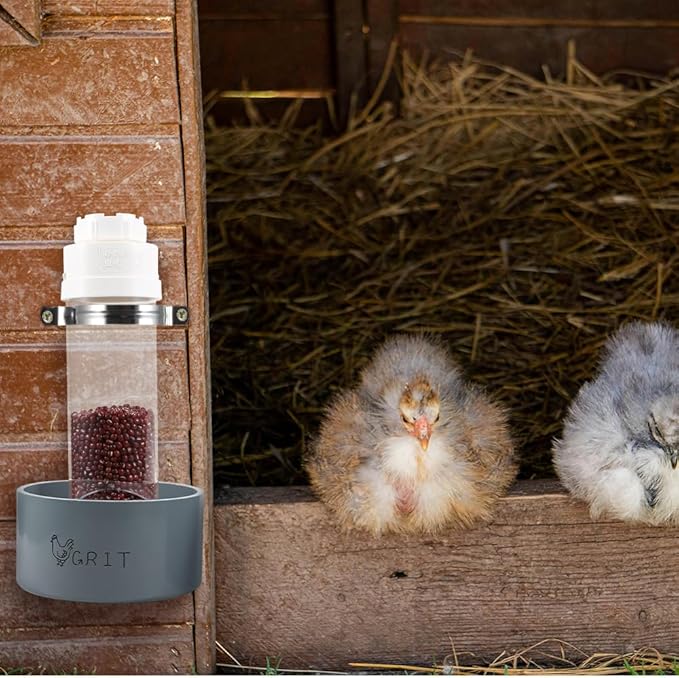 2 Pack Transparent PVC Chicken Feeder, Oyster Shell and Grit Feeder Hanging Ground Chicken Coop Feeder with Hanging Hook for Hens & Chicks (Grey)