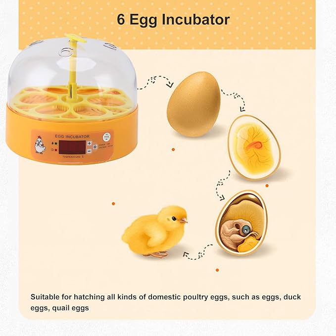 Pyhodi 6 Egg Incubator, Automatic Temperature and Humidity Control, Visual Observation, Suitable for Chicken Duck Eggs, Low Noise Automatic Egg Turning Incubator for Hatching (US Plug