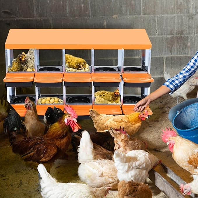 8 Hole Chicken Nesting Boxes - Nesting Boxes Chicken with Roll Away Design & Lid Cover,Easy Egg Collection, Hen Roosting Nest, Durable Poultry Laying Boxes for Hens