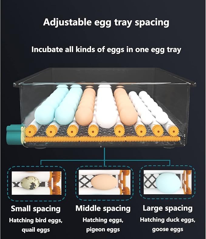 Egg Incubator, 12 Egg Incubator Digital with Temperature Control and Automatic Turning Chicken Poultry for Duck Goose Quail