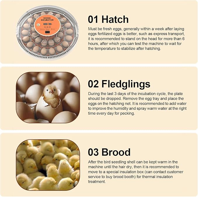 30 Eggs Incubator with Automatic Egg Turning with External Injection Water Bottle - Household Small Poultry Hatching Machine with Egg Candler Light for Chicken, Ducks, Pigeons,Bird (US Plug)
