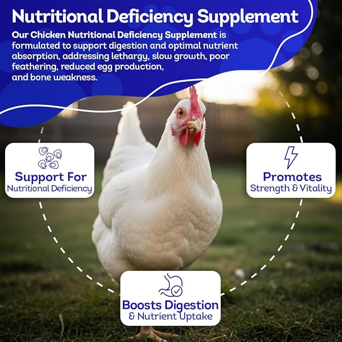 HA4E - Chicken Nutritional Deficiency - Supports Balanced Nutrition & Health - Highly Effective, Natural, Homeopathic Pellets, Barn Size (Extra Large)