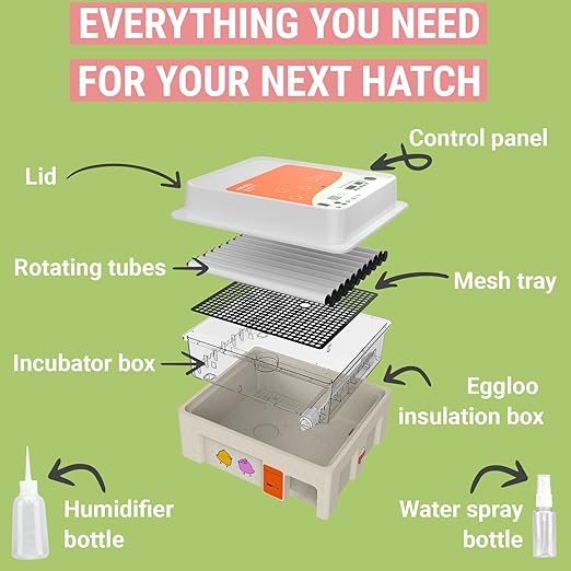 OBI-36 Incubator for Hatching Eggs – 36 Eggs, Easy to Use, Stable Temperature & Humidity Control with Eggloo Insulation - Orange