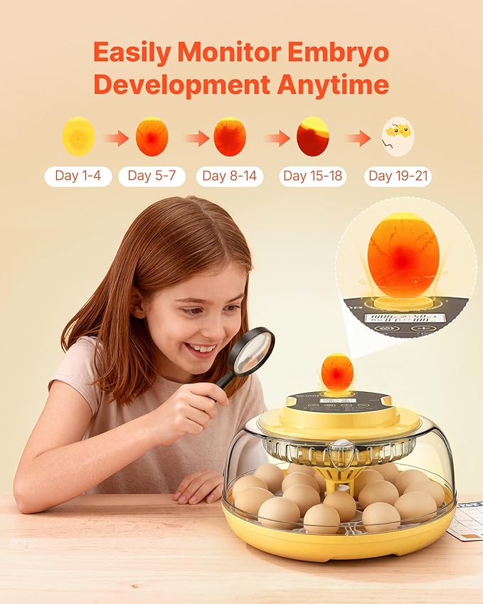 VEVOR 18 Egg Incubator, Automatic Egg Turner with LED Candler, Temperature & Humidity Control, 360° View Clear Window, Auto Water Refill, Poultry Eggs Incubators for Hatching Chicks Ducks Goose Quail