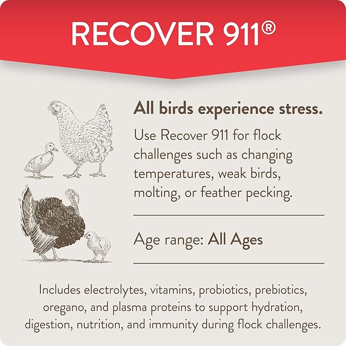Recover 911, Severe Stress Probiotic Water Supplement for Chickens with Electrolytes, Prebiotics & Oregano, Molting, Extreme Weather, and Predator Attack Support, 8 oz