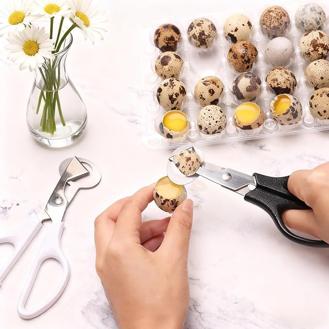 9 Pack Quail Egg Scissors - Stainless Steel Quail Scissors 9 Color for Quail Eggs