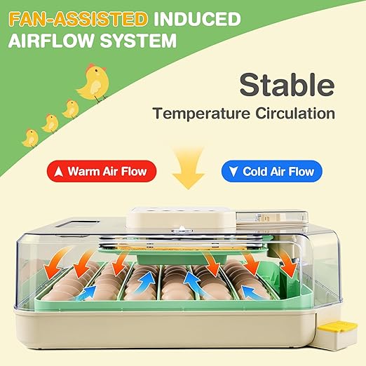 Sailnovo 48 Egg Incubator for Hatching Eggs with Auto Egg Turning, Precise Temp & Humidity Control, 360°Viewing, Egg Candler, Incubator for Chicken Eggs/Duck/Quail,Ideal for Farm/School/Lab,Green