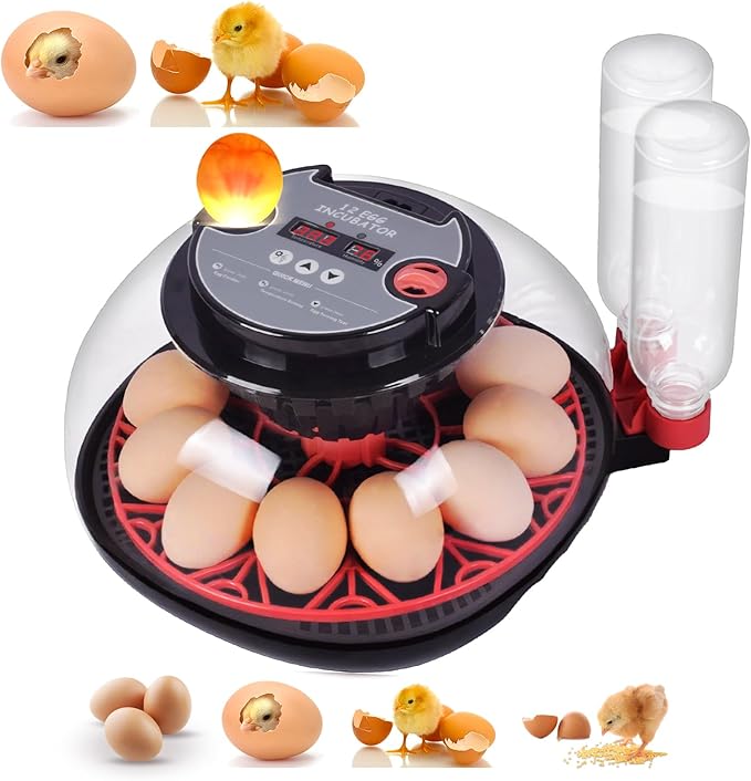 Incubators for Hatching Eggs with Automatic Egg Turning,Temperature & Humidity Control, Come with Egg Candler, External Water Bottles 360° Clear View Incubator for Hatching Chicken Eggs Quail Duck