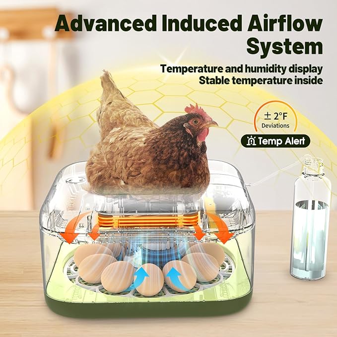 12 Egg Incubator with Automatic Egg Turning and Humidity Control, LED Egg Candling Light, Customized Incubation Days, Incubators for Hatching Eggs, Chicken Quail Parrot Pigeon Birds, Green