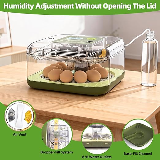 Automatic 12 Egg Incubator - Digital Temperature/Humidity Display, Hatch Day Countdown, Auto Egg Turner & Candler with 360° View for Hatching Chicken, Duck, Quail Eggs