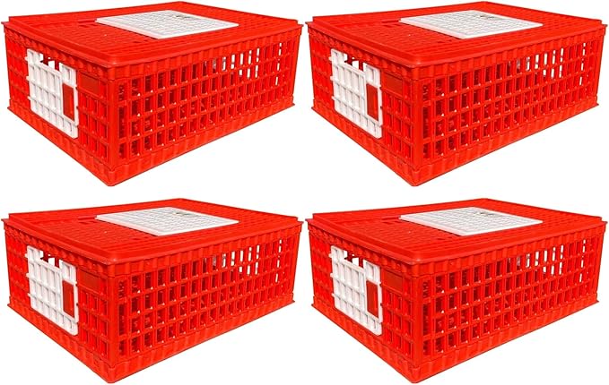 RentACoop Stackable Poultry Carrier Crate (Pack of 4) 29" L x 22" W x 12" H for Chickens