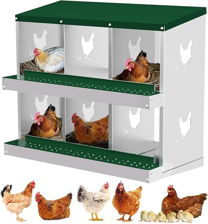 Chicken Nesting Box, 6 Compartment Metal Chicken Nesting Boxes for Chicken Coop, Large Vented Holes Chicken Laying Boxes with Rollout Egg Collection, Wall Mount Chickens Coops